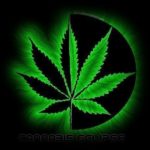 SUR LA CONSOMMATION DE MARIJUANA ET LES DYNAMIQUES DE COMPORTEMENT QUI FONT IMPROBABLES ET PEU POSSIBLES LES RELATIONS STABLES, CONSTRUCTIVES, HARMONIEUSES ET SAINES.